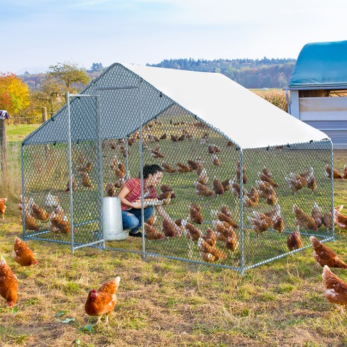 Metal chicken run - cage, in