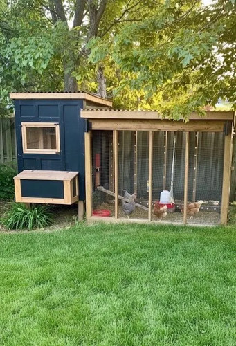Chicken coop with other - coop, stuff
