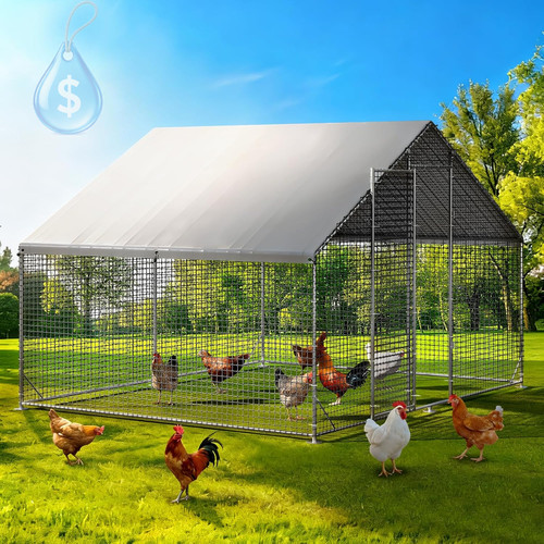 Large walk chicken coop - large, walk-in