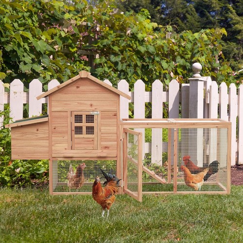 Outdoor wooden chicken - chicken, coop