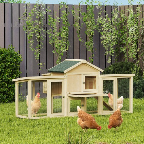 Large chicken coop wooden - large, coop,