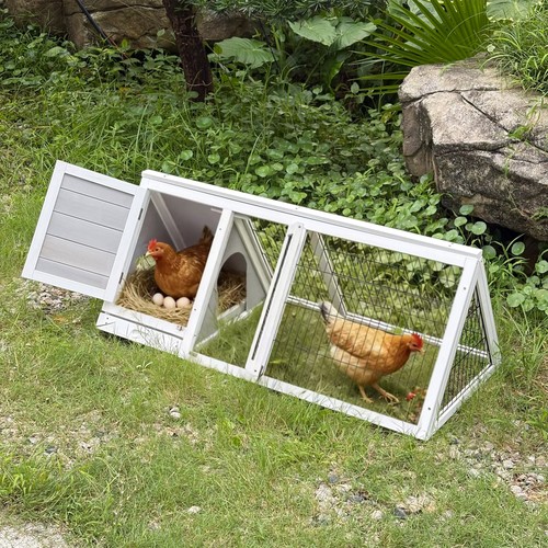 Wooden backyard chicken - wooden,