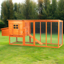 EXTRA LARGE HEN HOUSE CHICKEN