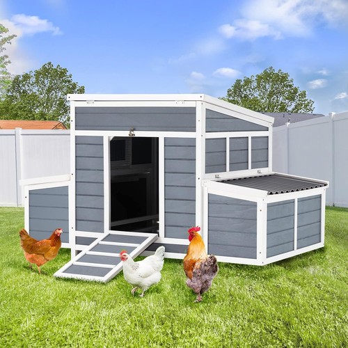 Wooden chicken coop - chicken, in,