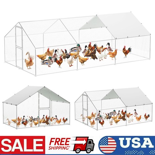 Large metal chicken coop - chicken,