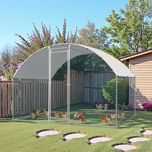 Walk chicken run - chicken,