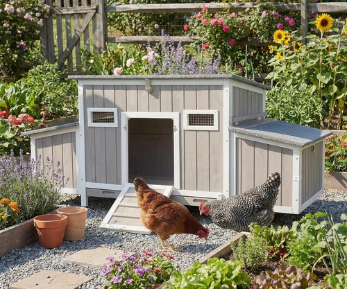 Petscosset chicken coop for - petscosset,
