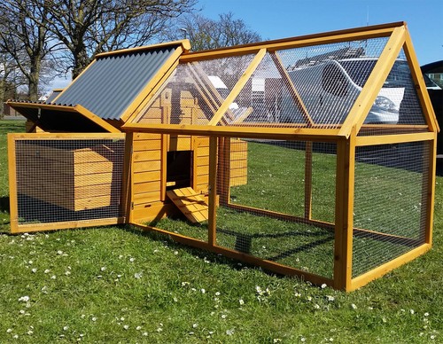 Large chicken coop - chicken,