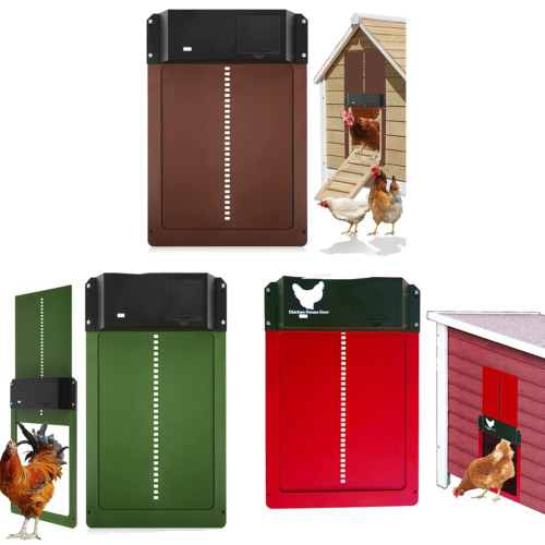 Chicken coop door automatic - chicken,
