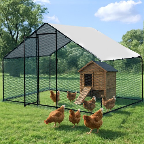 Large walk metal chicken - metal,