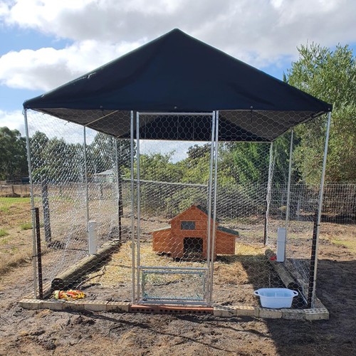 Chicken coop run hen - 4m,